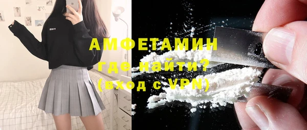индика Надым