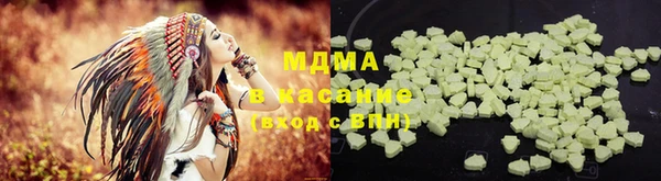 индика Надым
