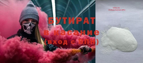 индика Надым