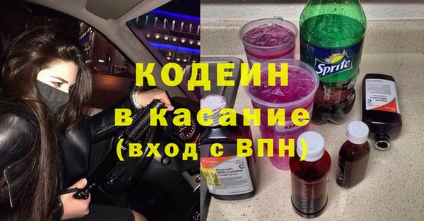 индика Надым