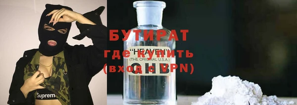 индика Надым