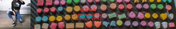индика Надым