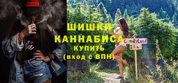 индика Надым