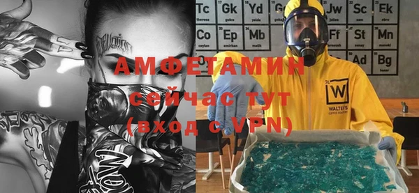 индика Надым
