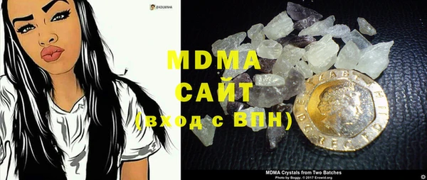 индика Надым