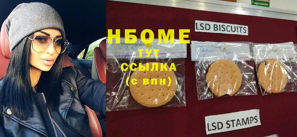индика Надым