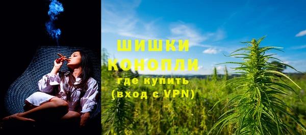 индика Надым
