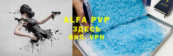 индика Надым
