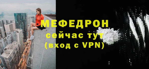 индика Надым