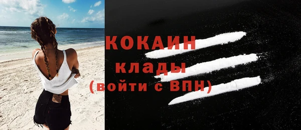 индика Надым