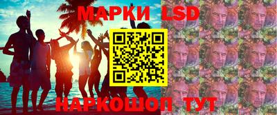 гашик Будённовск