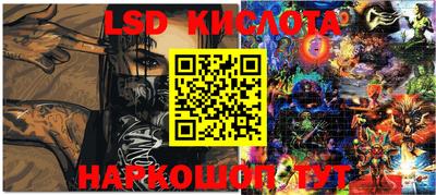 гашик Будённовск