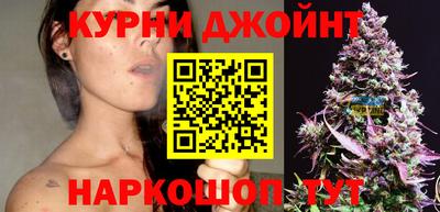 гашик Будённовск