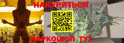 гашик Будённовск