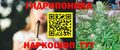 гашик Будённовск