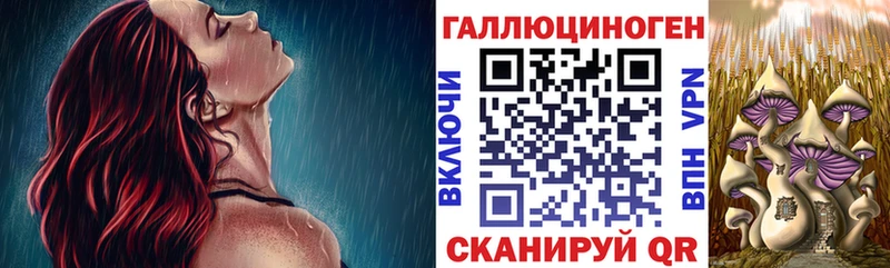 Галлюциногенные грибы GOLDEN TEACHER  Электрогорск 