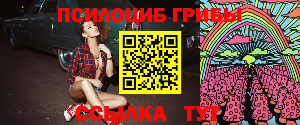 купить наркотики цена  Вход с VPN  Галлюциногенные грибы прущие грибы  Электрогорск  Псилоцибиновые грибы GOLDEN TEACHER 