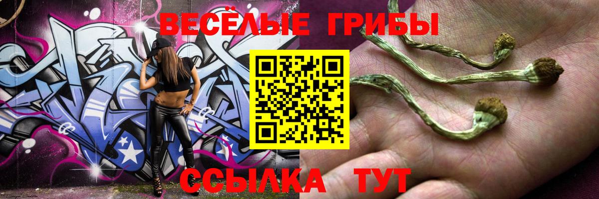 Псилоцибиновые грибы прущие грибы  Электрогорск 