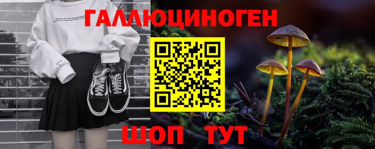 Псилоцибиновые грибы Cubensis Электрогорск