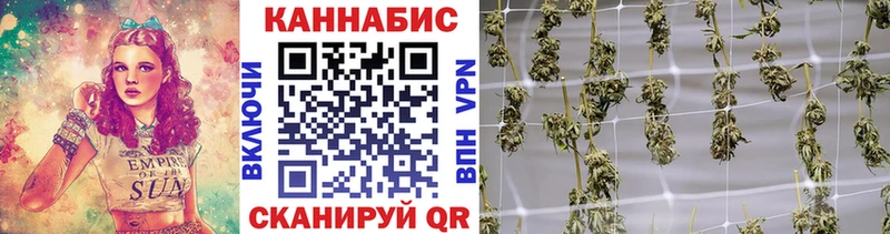 кракен ONION  Электрогорск  Конопля Bruce Banner 